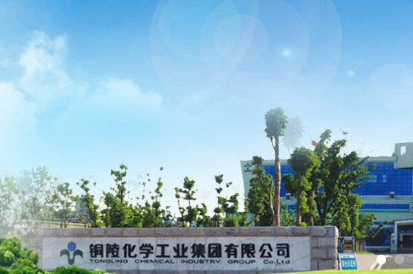 市政协领导来六国化工调研项目建设
