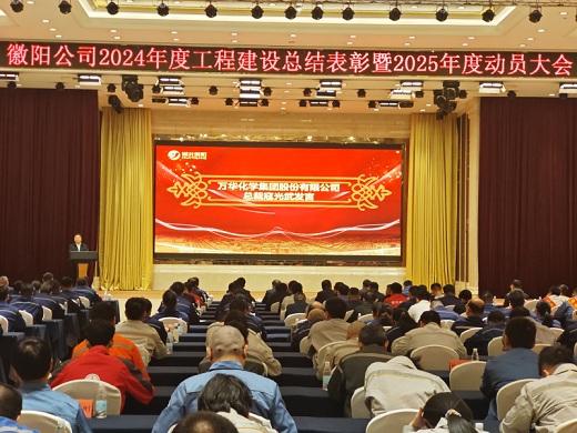 湖北徽阳召开2024年度工程建设总结表彰暨2025年度动员大会