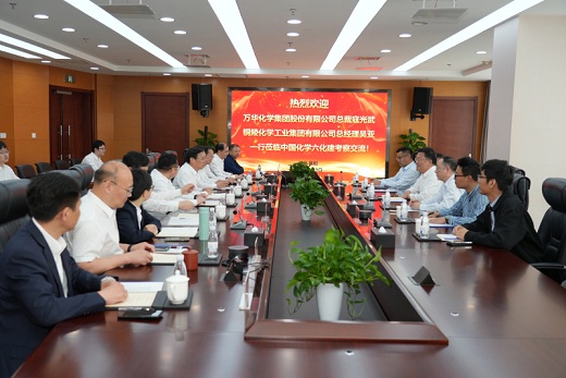 铜化集团 万华化学 中化六建座谈交流深化合作