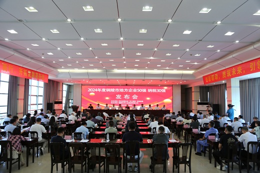 市地方企业两个最新“强榜”发布    铜化集团均位居前列