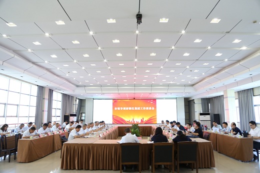 市领导调研铜化集团工作座谈会召开