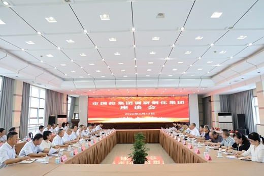 市国控集团领导集体来铜化集团调研